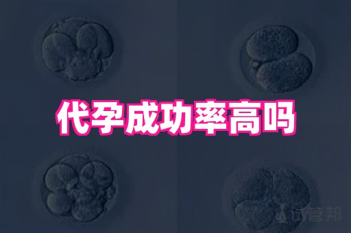梦美助孕网 4